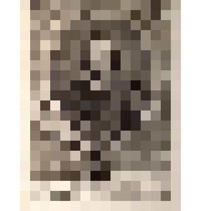 Charles l'Orleans. (Шарль Орлеанский.) - гравюра из книги: Recueil des portraits des hommes illustres. T. VIII. (Сборник портретов знаменитых людей. T. VIII.) - на франц. яз