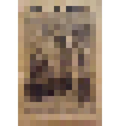 Книга. Семенов С.Т. В город [Text] / Рассказ крестьянина С. Т. Семенова; Рисунок А. Метцгера / "Посредник" обозначен в объявлении на обложке. - М. : Издательство "Посредник" (№ 48), 1903 (Товарищество И.Д.Сытина)