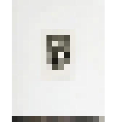 Портрет Н.А. Милютина