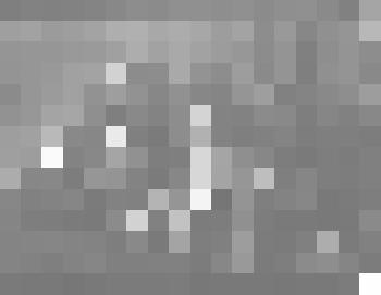 Негатив. Маяковский В.В. с участниками постановки спектакля "Двадцать пятое" в Ленинградском Малом оперном театре (Малеготе)