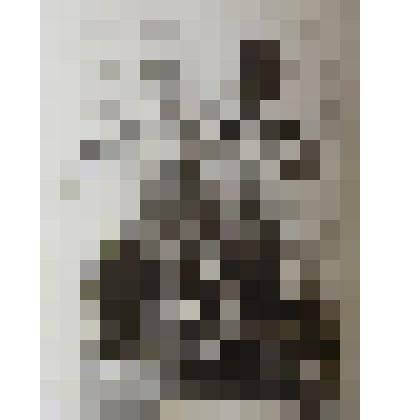 Фотография групповая.  Члены бюро Игринского РК ВЛКСМ