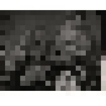 Форш Ольга Дмитриевна. Архив О. Форш