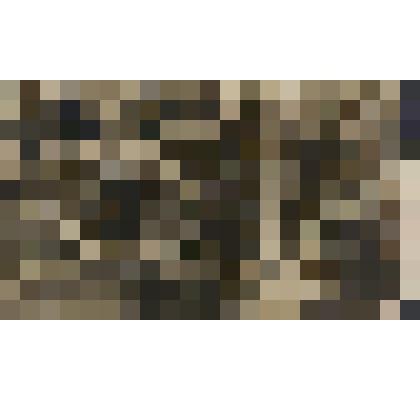 Фотография ч/б. Групповой портрет. Президиум 4-го  Всесоюзного совещания жен командного и начальствующего состава РККА