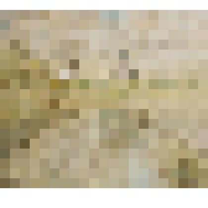 Монотипия «Ферапонтово – жемчужина Севера»