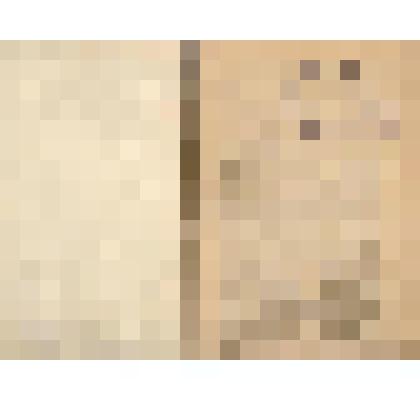 Журнал. Ежемесячное литературное приложение к журналу Живописное обозрение