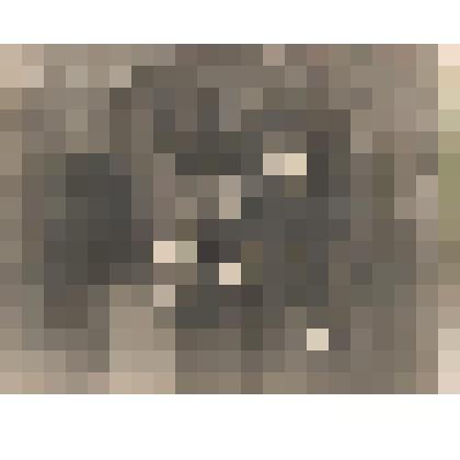 Фото. Пенсионерка Котлярова Е.М