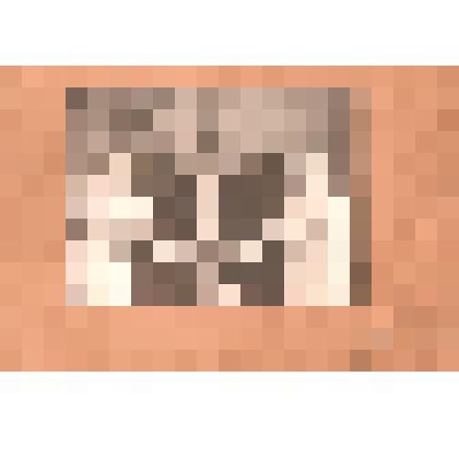 Фотография. Супруги Л,И. и И.В. Мамины, Серафима Захарова, А.Н. Баженов и Ксения Ивановна Баженова (в свадебном платье)