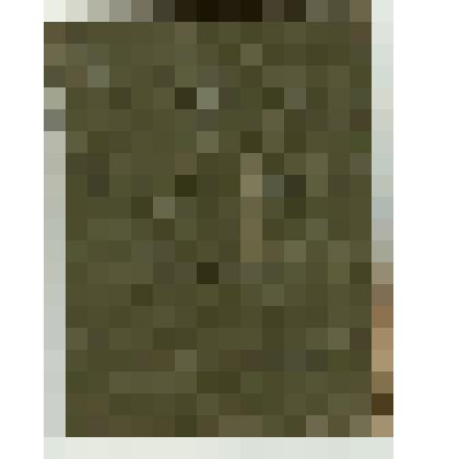 Военный билет