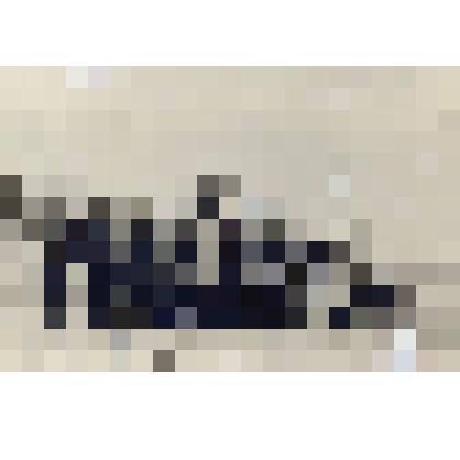 Фотография черно-белая. На фотографии группа мужчин на фоне трактора, на обороте надпись – Перед началом работ на новом парке