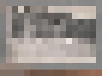 Фотография ч/б. Пастбище. 1972 г