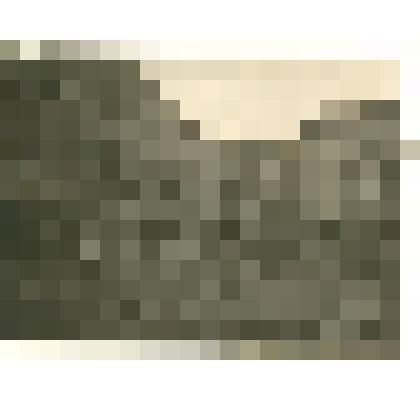 Фотография: Дурной Лог в окрестностях г.Камня-на-Оби, где были сброшены казненные белогвардейцами партизаны