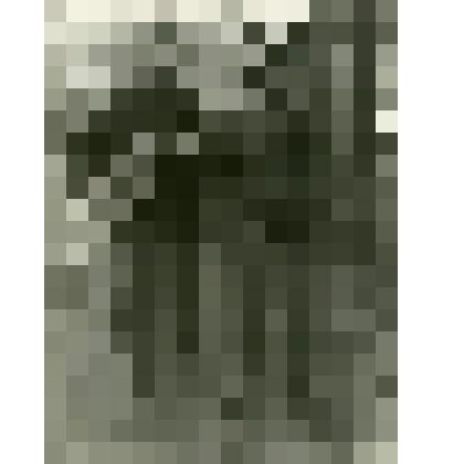 Фотография. В. Чернышов (слева) c другом, жители села Коломенского