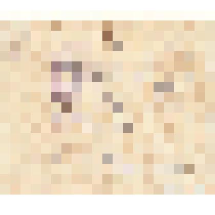 Документ. Удостоверение Кинешемского отделения Государственной строительной конторы при Иваново-Вознесенском губернском комитете Биржы труда Белопухову С. С. в том, что он служил счетоводом с 22 июня по 01 декабря 1923 г. Из коллекции материалов о Белопух