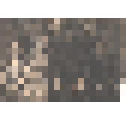 Фотография. Сотрудники Пестречинской столовой