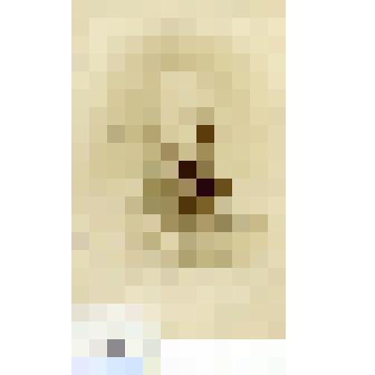 Фотография черно-белая. Граф О'Рурк I-й  Рудольф Корнильевич