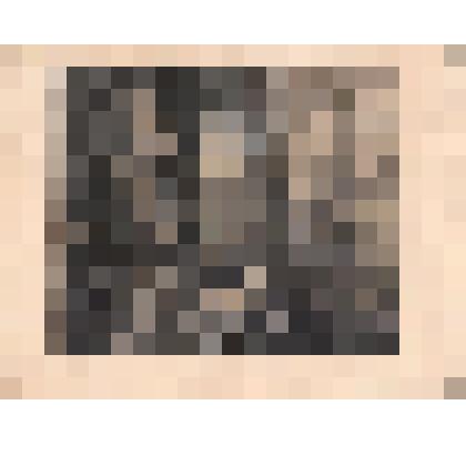 Оммеганг в Антверпене