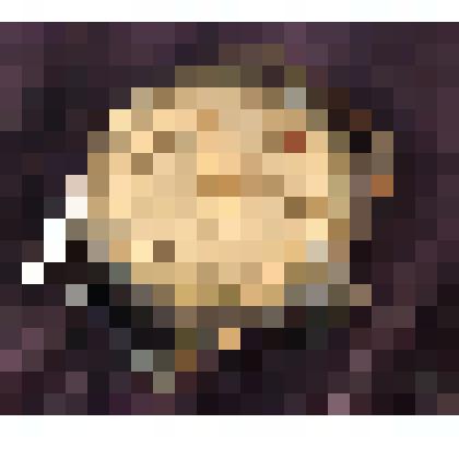 Часы наручные механические женские «Весна», из коллекции материалов документальных и предметов быта от сотрудников Саратовского областного музея краеведения