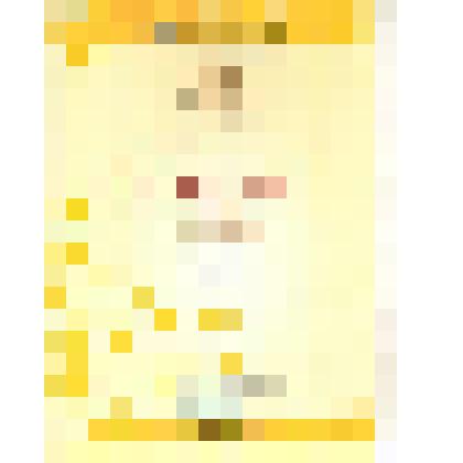 Диплом Толмашова Е.Н. - участника города мастеров (1-5 июля 2009 г.)