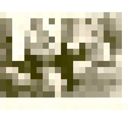 Фотография. Станки Каменской мебельной фабрики, изготовленные силами местных рационализаторов