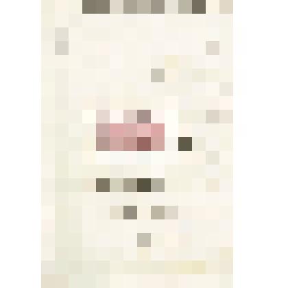 Письмо д-ра Эренберга Н. М. Мартьянову из Пруссии на немецком языке с просьбой выслать издания музея