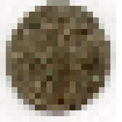 Монета. Российская империя