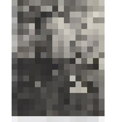 Фотография. Андреев Аркадий Григорьевич,  полковник  в период ВОВ