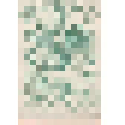 Иллюстрация. Таблица № 52. Выпуск "11-13".
 Из комплекта таблиц "Красота форм в природе"