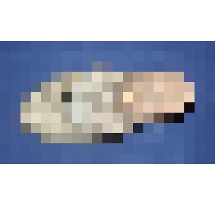 Туфля женская летняя