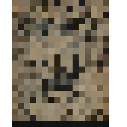 Книга. «Die dadaistische Korruption». Berlin: Leon Hirsche Verlag, 1920