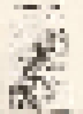 Документальный материал. Газета "Крестьянская правда" от 20.04.1924г. «Партийная жизнь в транспортной ячейке»