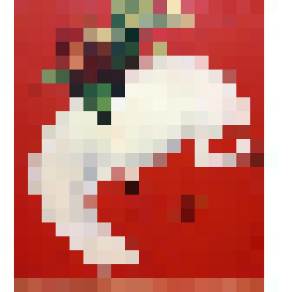 Кровавое воскресение