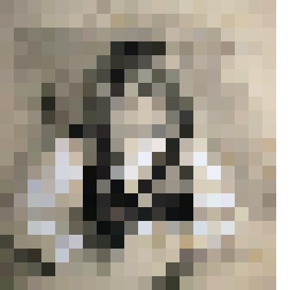 Рисунок «Портрет сестры»