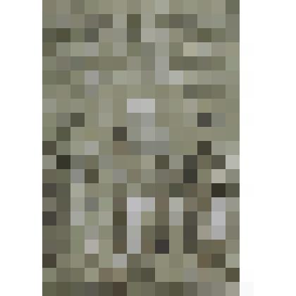 Святой Павел, сопровождаемый двумя святыми