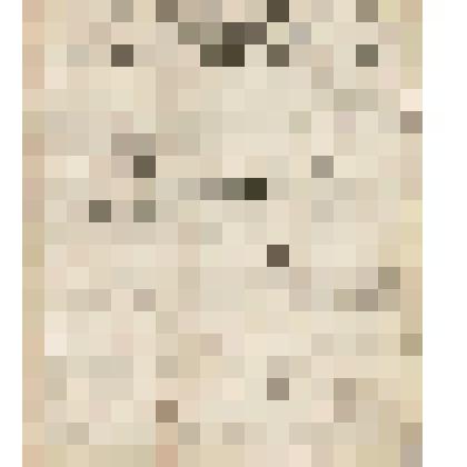 Инвентарь баржи №6. Навигация 1900 года. Выдан водоливу Егору Игнатьевичу Осьмушину. Выдал доверенный Гусева М. Кузнецов