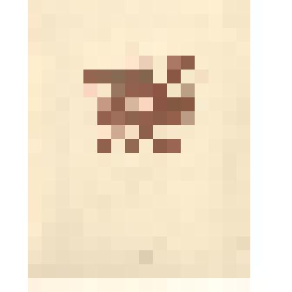 Животные. Верблюд