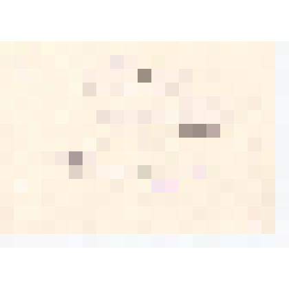 Выписка из протокола №11 заседания бюро Кушнаренковского райкома КПСС об утверждении Ахметзянова Н.И. директором Шариповской средней школы