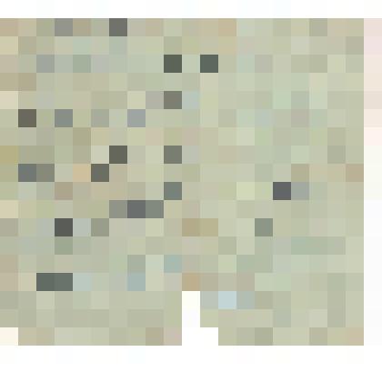 Справка 277 ОМСБ 248 с. д. от 4.02.1943г. о ранении Мойс Г. М