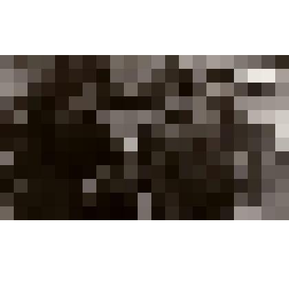 Фотография «Короткое интервью» из альбома «2000 год. 55-я годовщина Победы»