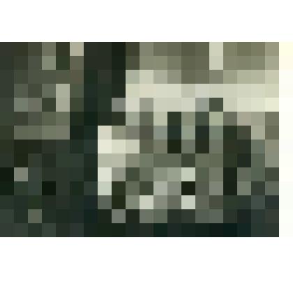 Фотография. Отдел партийно-просветительской работы в РККА