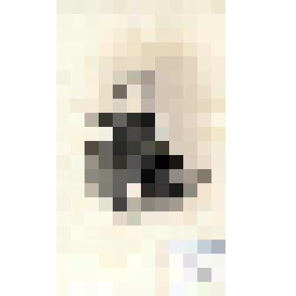 Фотография черно-белая. Барон Шиллинг Федор Александрович