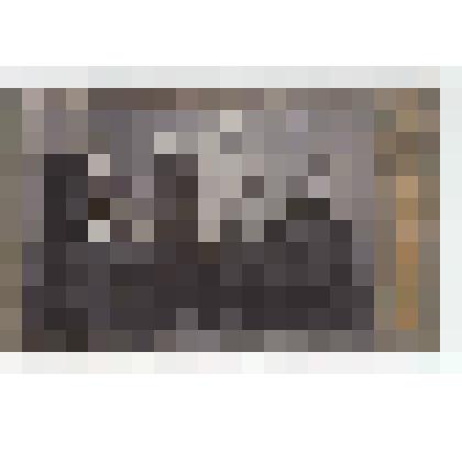 Ф/чб/п. Семья поволжских немцев (родственники Дизендорф) из г. Баронск (муж с женой и 2 детьми). / Фото. Г. Лидер. Вольск. Нач. ХХ в