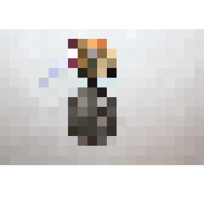 Малая серебряная медаль "За успехи в народном хозяйстве СССР". Принадлежала: Колесовой А. Л