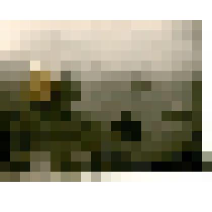 Фотография. Конь с. Быкова. Вдали шхуна. пос. Тикси, р. Лена