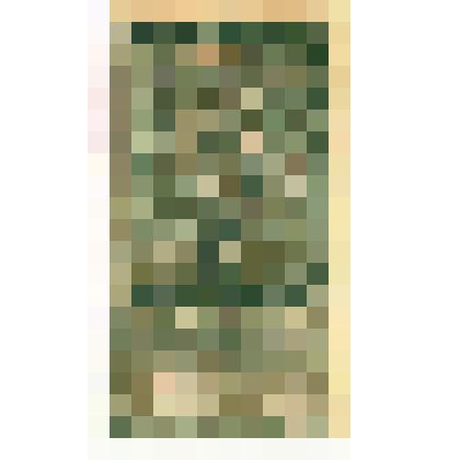 Марки почтовые. Марка почтовая. 5 руб. (темно-зеленый). "Гербовая марка"  по центру герб с изображением Георгия Победоносца 