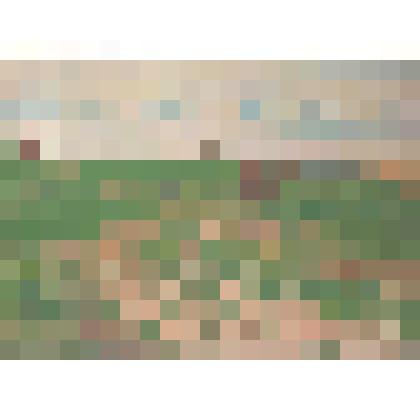 Картина. Поле