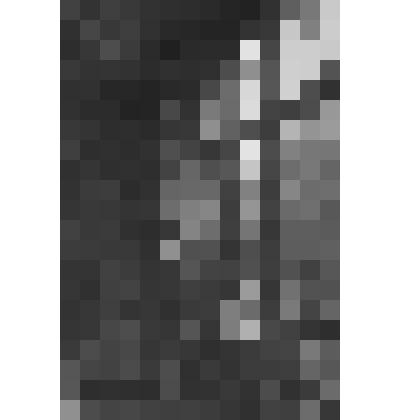 Фермерский дворец. Кабинет Александра II. Южная сторона западной оконной амбразуры