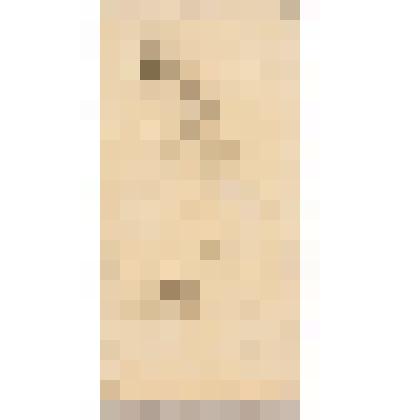 Птицы, из альбома  «190 пейзажей; зарисовки, иллюстрации, карикатуры»