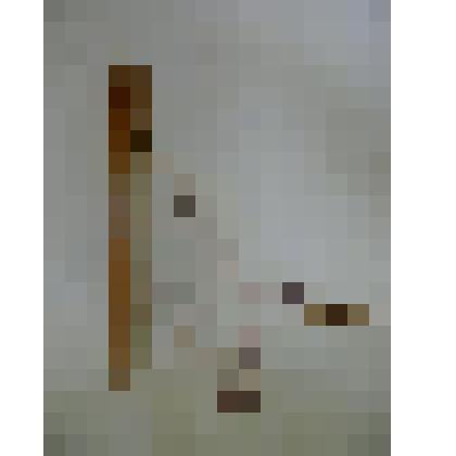 Муккури (варган)