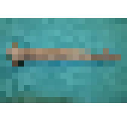 Брандспойт