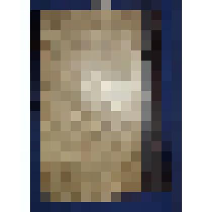 Справочник по высшему обрзованию. Руководство для поступающих во все высшие учебные заведения Росссии. Третье исправленное и значительно дополненное издание. Книгоиздательство "Сотрудник". Петроград - Киев, 1915 г